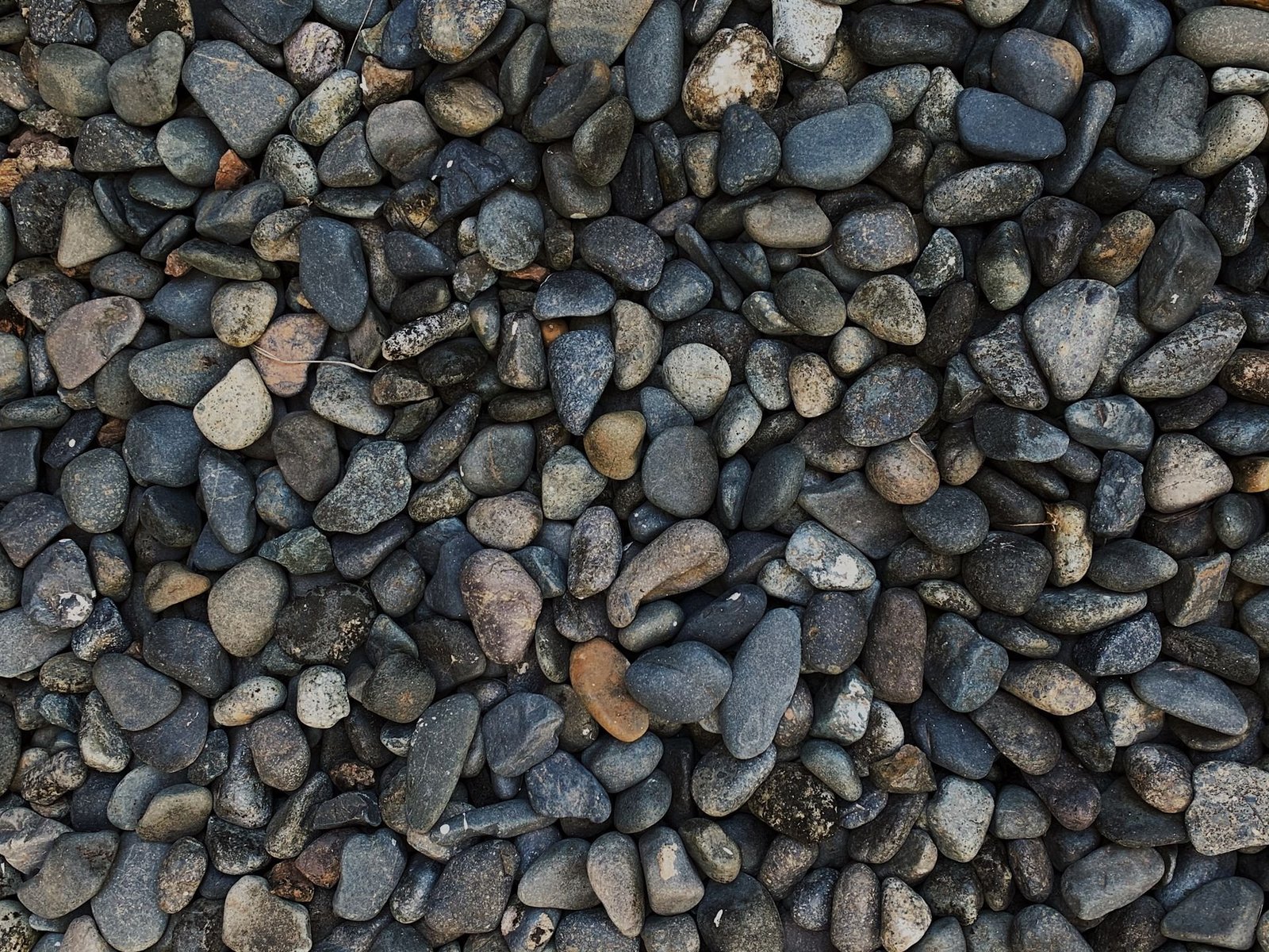 Close-up texture of natural pea gravel pebble stones